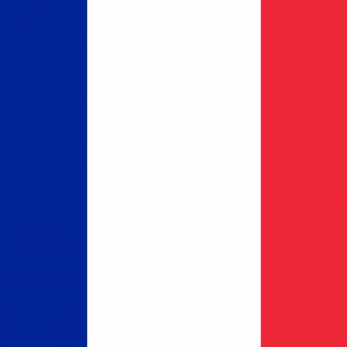 The French Flag
